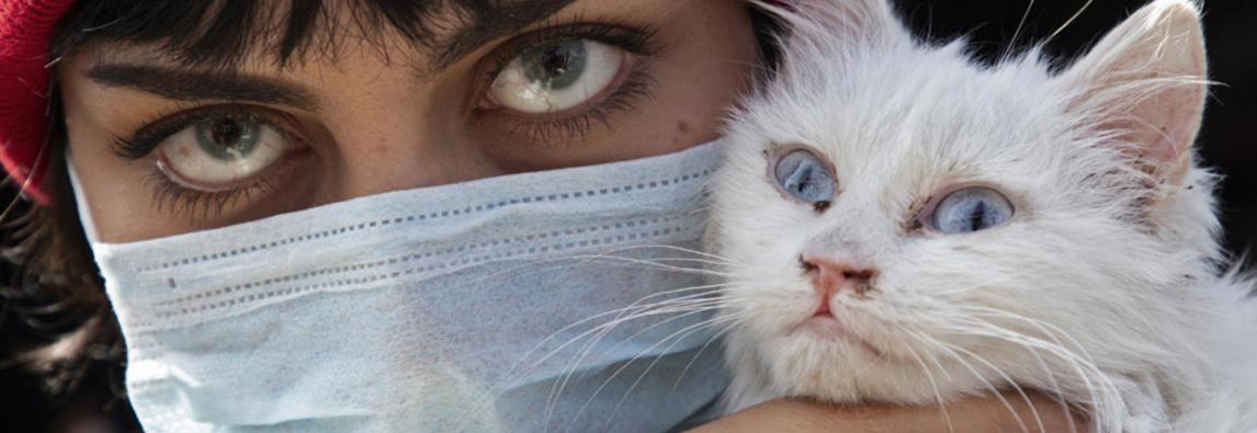 Saiba como cuidar de cães e gatos durante a pandemia de coronavírus