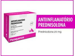 Paraqueños antiinflamatorio Prednisolona