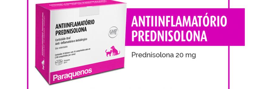 Anti-inflamatório Prednisolona